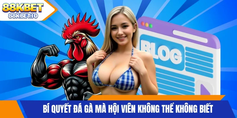 Bí quyết đá gà mà hội viên không thể không biết