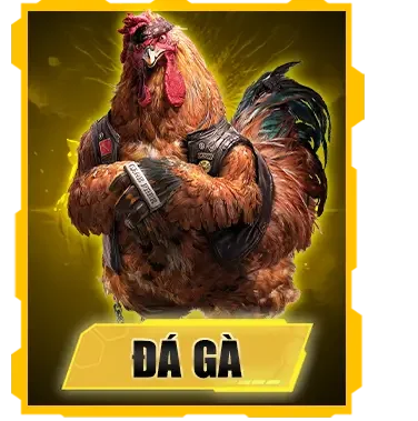 Ảnh đá gà