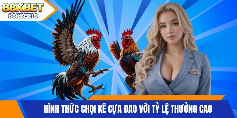 Hình thức chọi kê cựa dao với tỷ lệ thưởng cao