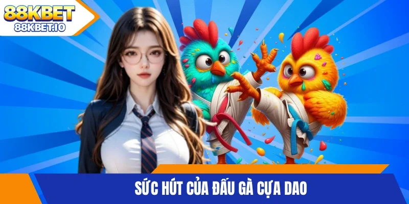 Sức hút của đấu gà cựa dao