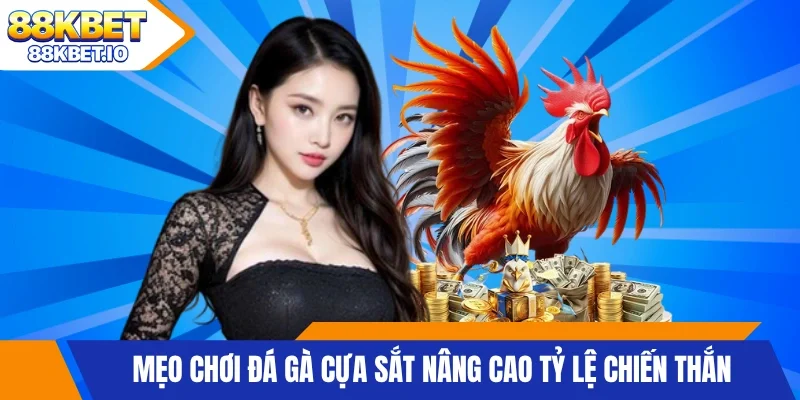 Mẹo chơi đá gà cựa sắt nâng cao tỷ lệ chiến thắng