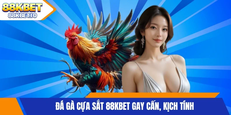 Đá gà cựa sắt 88KBET gay cấn, kịch tính