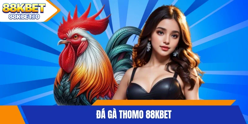 Đá gà Thomo 88KBET